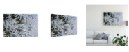 Trademark Global Kurt Shaffer Crystal Window 2 Canvas Art - 37" x 49"